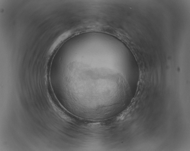 X0000067830054200604271605