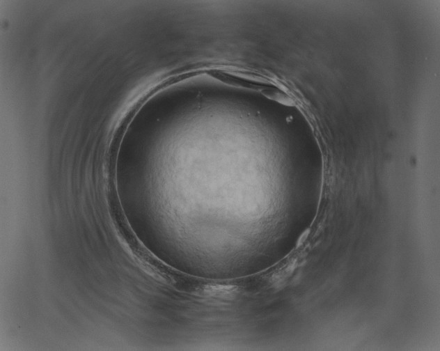 X0000067830055200604271605