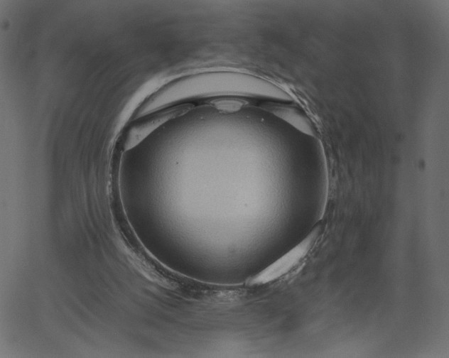 X0000067830056200604271605