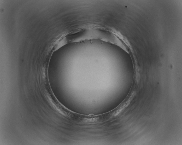 X0000067830057200604271605