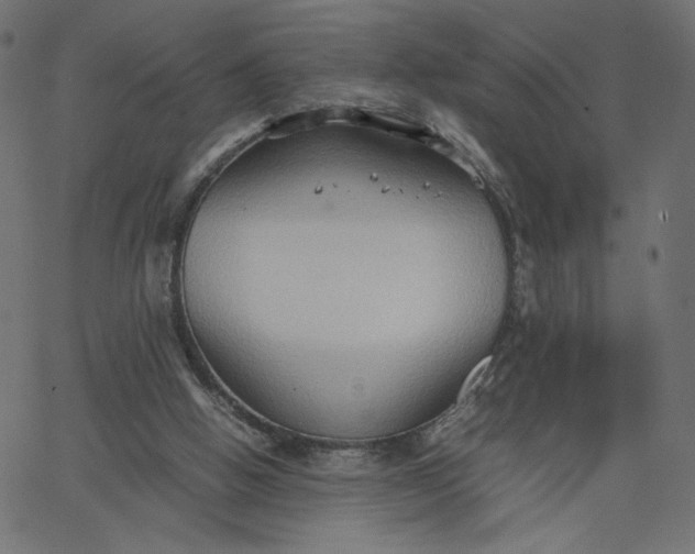 X0000067830058200604271605