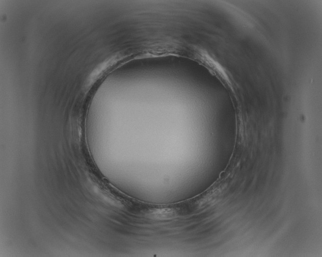 X0000067830059200604271605