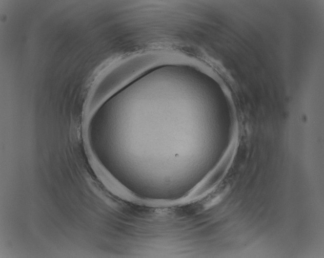 X0000067830060200604271605