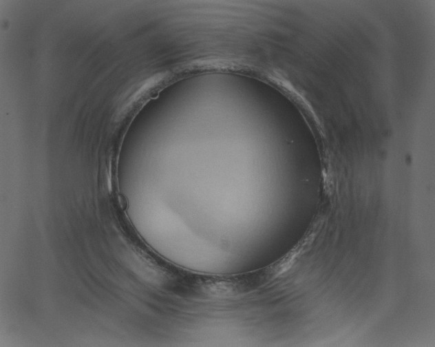 X0000067830062200604271605