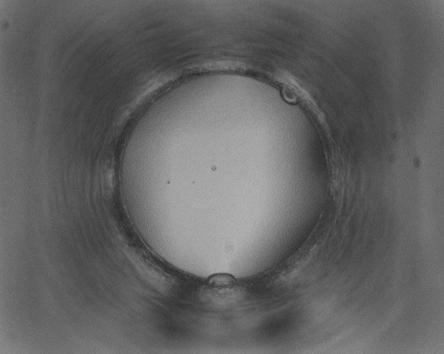 X0000067830063200604271605