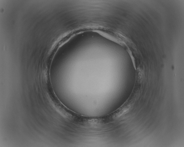 X0000067830064200604271605