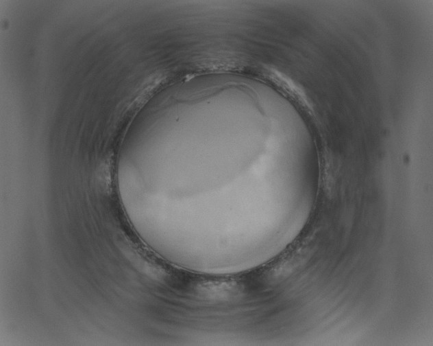 X0000067830065200604271605