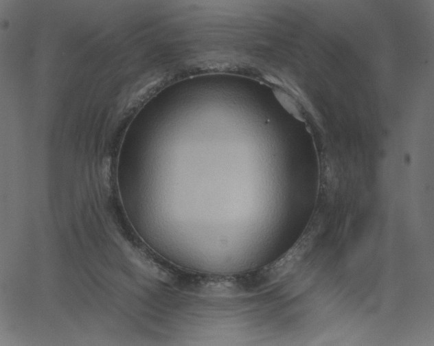 X0000067830066200604271605