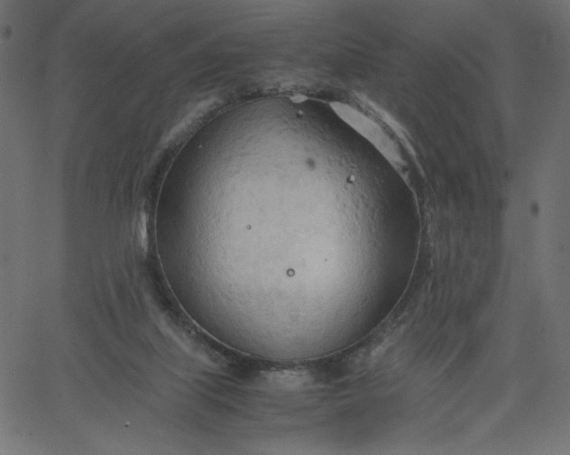 X0000067830067200604271605