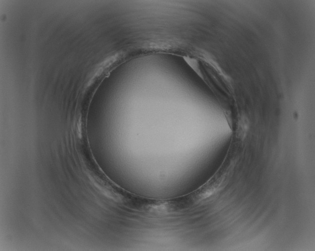 X0000067830068200604271605