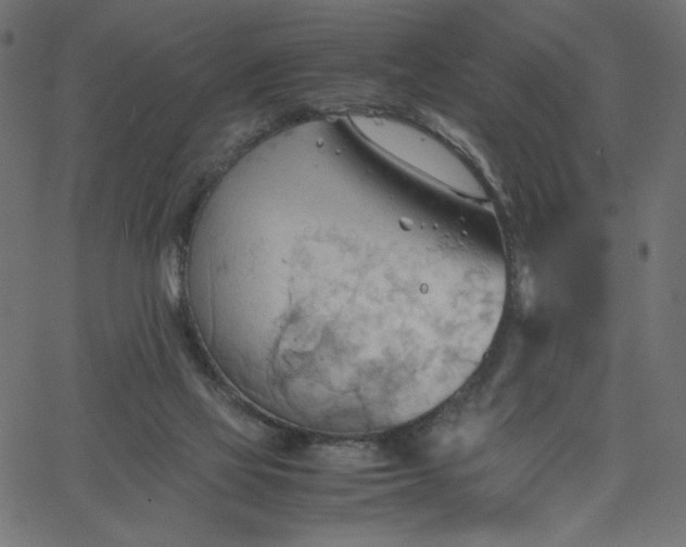 X0000067830069200604271605