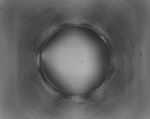 X0000067830070200604271605