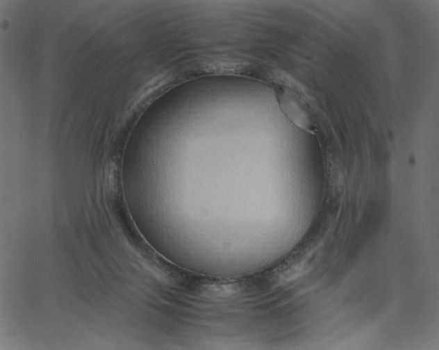 X0000067830071200604271605