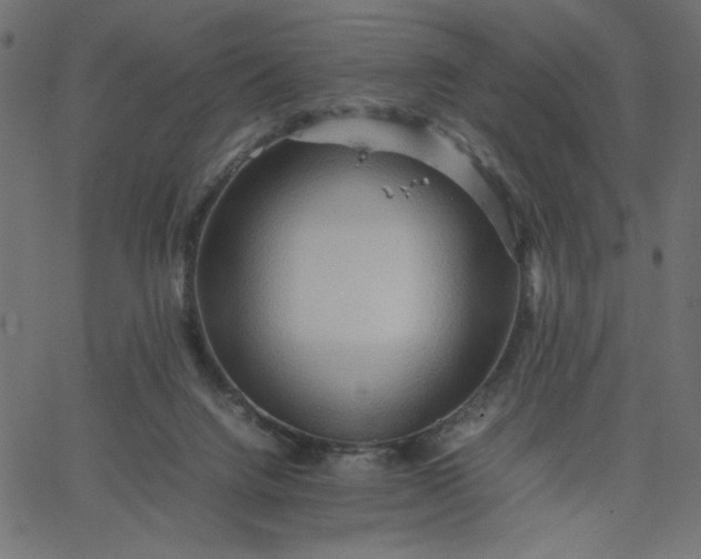 X0000067830072200604271605