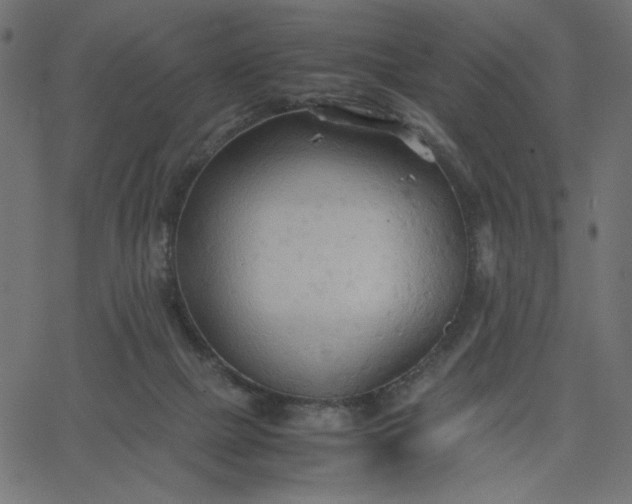 X0000067830073200604271605