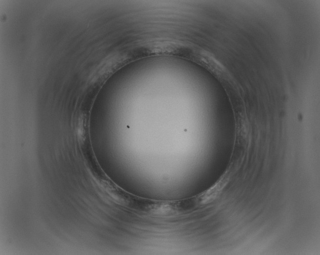 X0000067830074200604271605