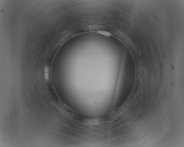 X0000067830075200604271605