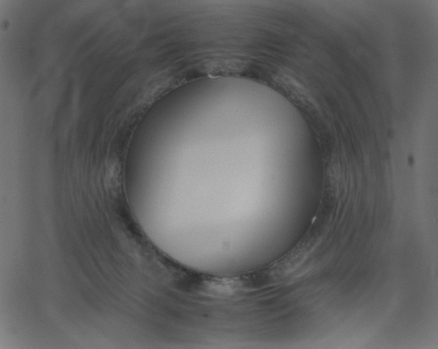 X0000067830079200604271605