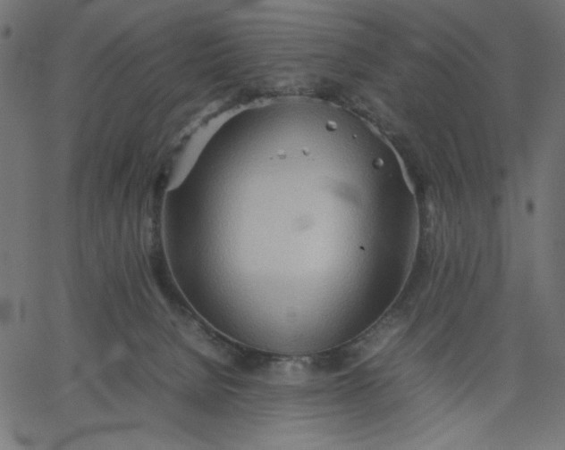 X0000067830080200604271605