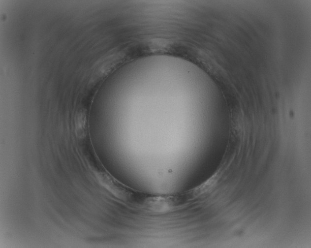 X0000067830082200604271605