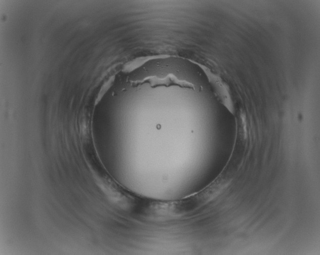 X0000067830084200604271605