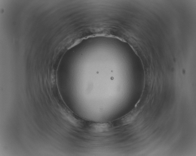 X0000067830085200604271605