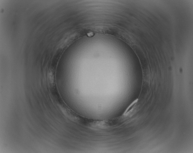 X0000067830086200604271605