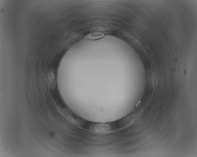 X0000067830087200604271605