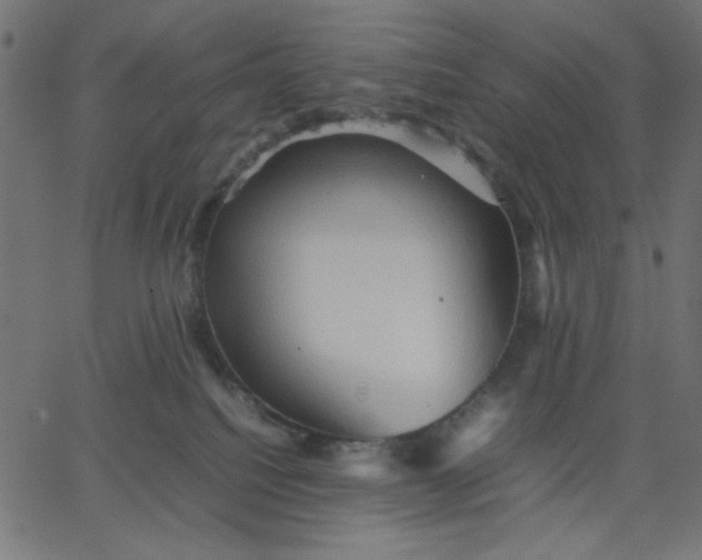 X0000067830088200604271605