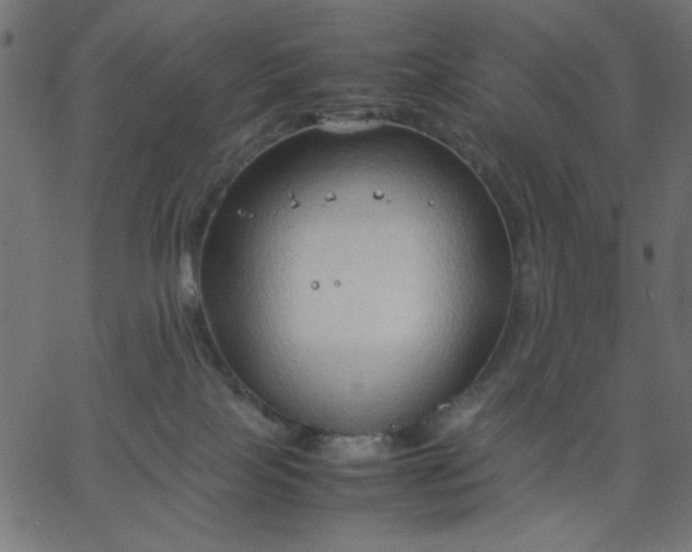 X0000067830089200604271605