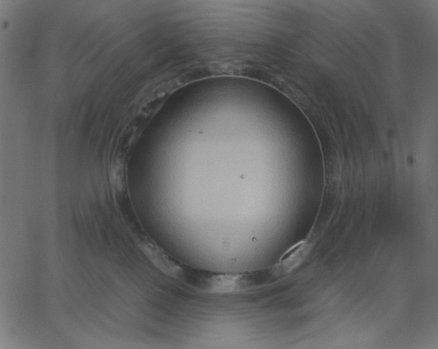 X0000067830090200604271605