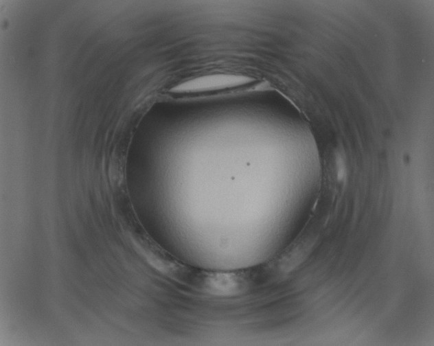 X0000067830091200604271605