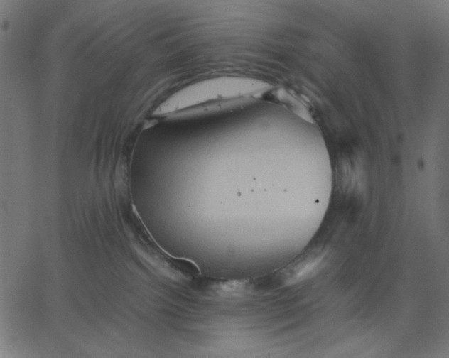 X0000067830092200604271605