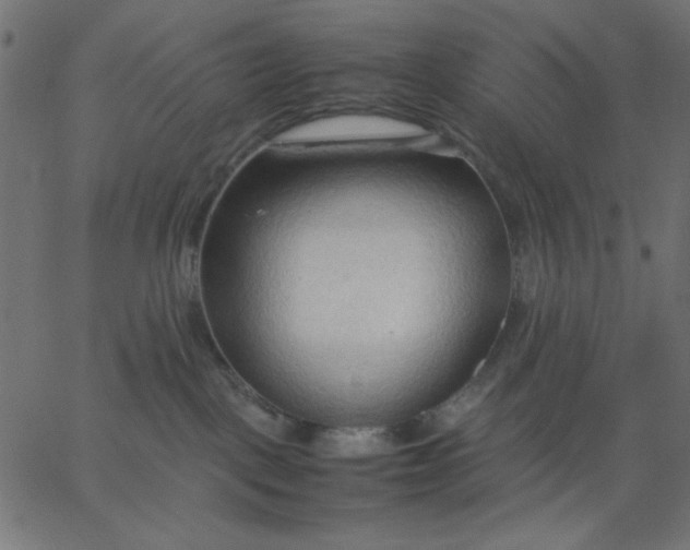 X0000067830093200604271605