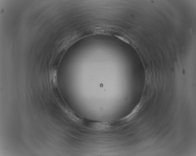 X0000067830094200604271605