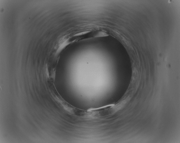 X0000067830096200604271605