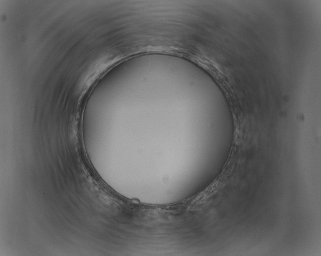 X0000067830098200604271604