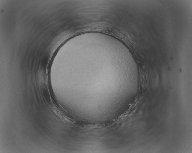 X0000067830100200604271604