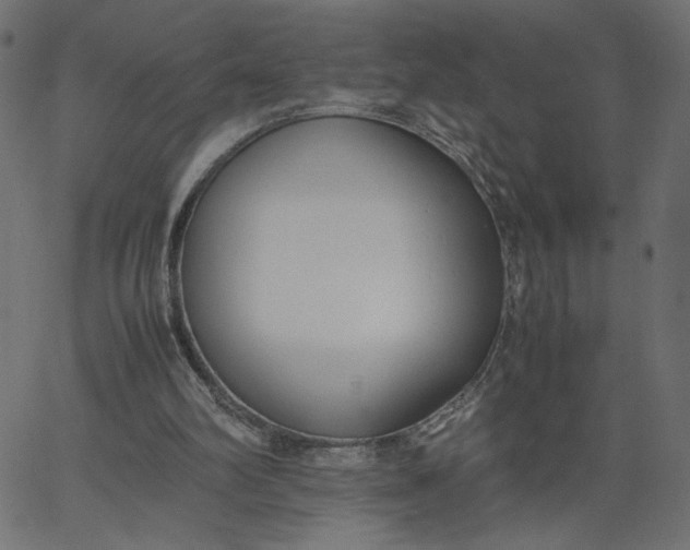 X0000067830102200604271604