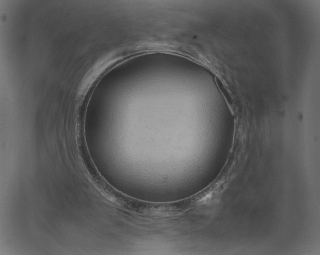 X0000067830103200604271604