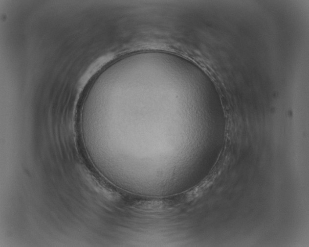 X0000067830104200604271604