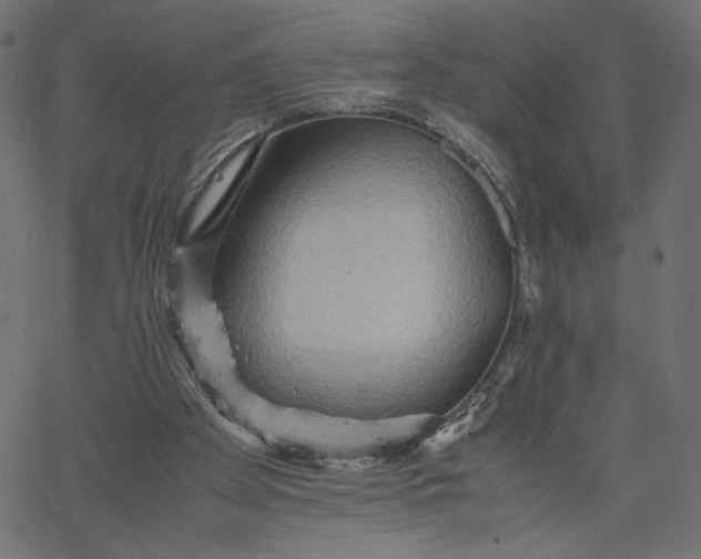 X0000067830105200604271604