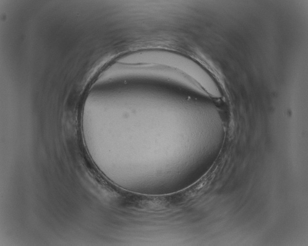 X0000067830107200604271604