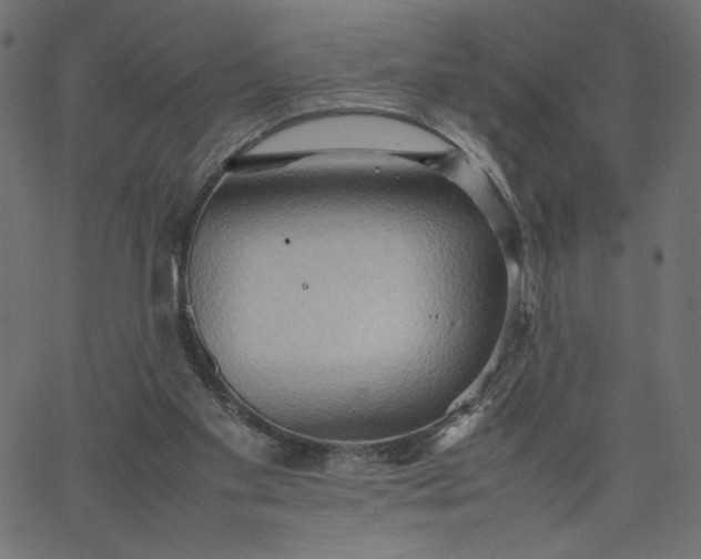 X0000067830109200604271604