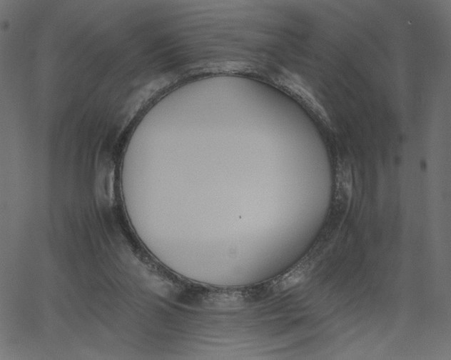 X0000067830110200604271604