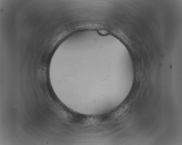 X0000067830111200604271604