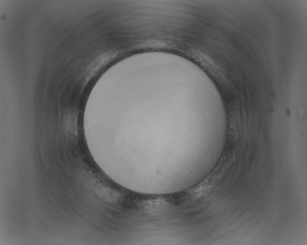 X0000067830112200604271604