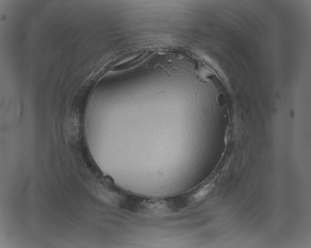 X0000067830113200604271604