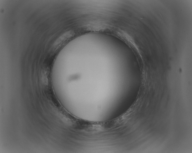 X0000067830114200604271604