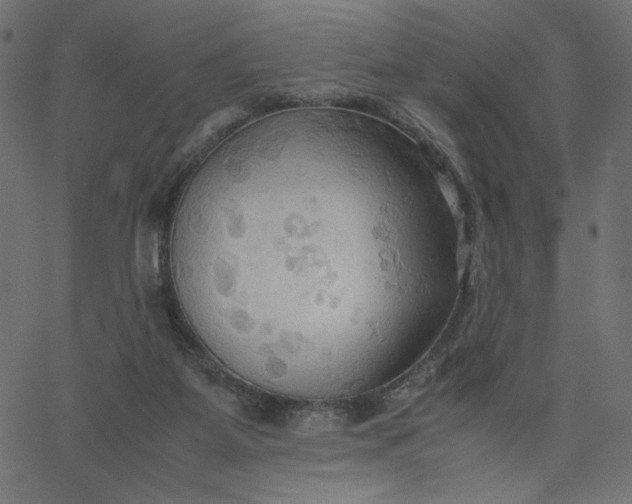 X0000067830115200604271604